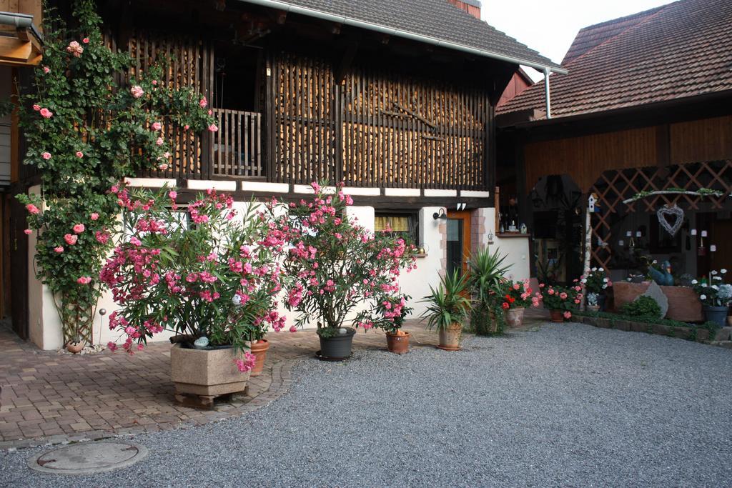 Ferienwohnung Fam. Hoehn Kappel-Grafenhausen Bagian luar foto
