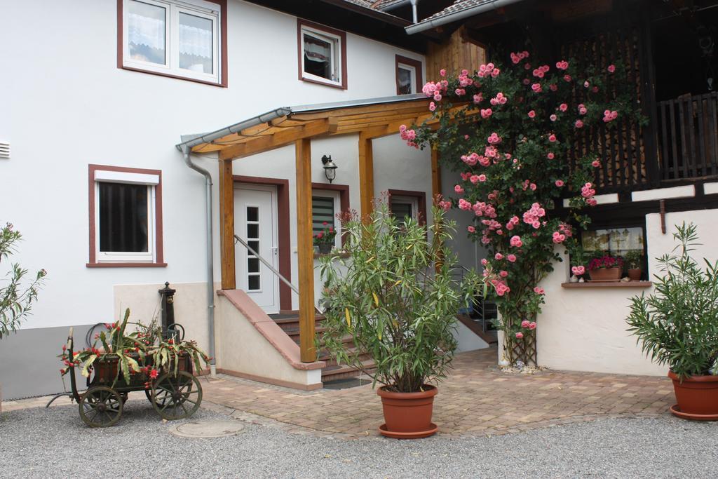 Ferienwohnung Fam. Hoehn Kappel-Grafenhausen Bagian luar foto