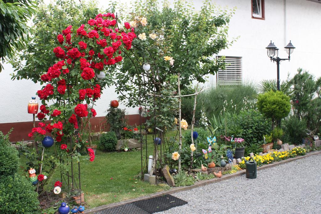 Ferienwohnung Fam. Hoehn Kappel-Grafenhausen Bagian luar foto