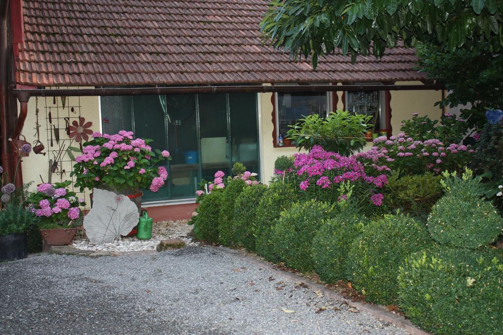 Ferienwohnung Fam. Hoehn Kappel-Grafenhausen Bagian luar foto